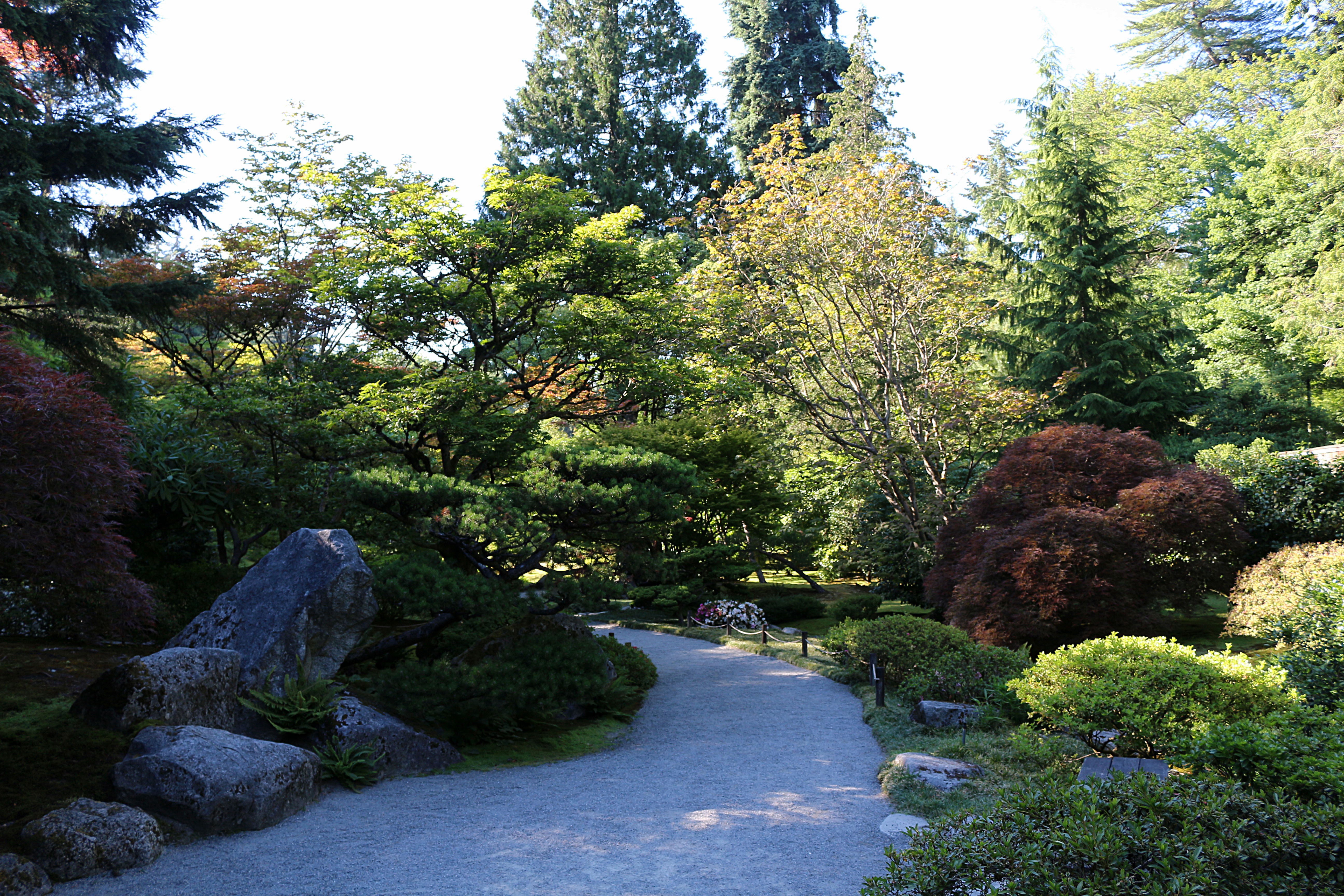 Paved walkway, lined with bushed and trees. There is a small chain draped between walking lights to designate the path.