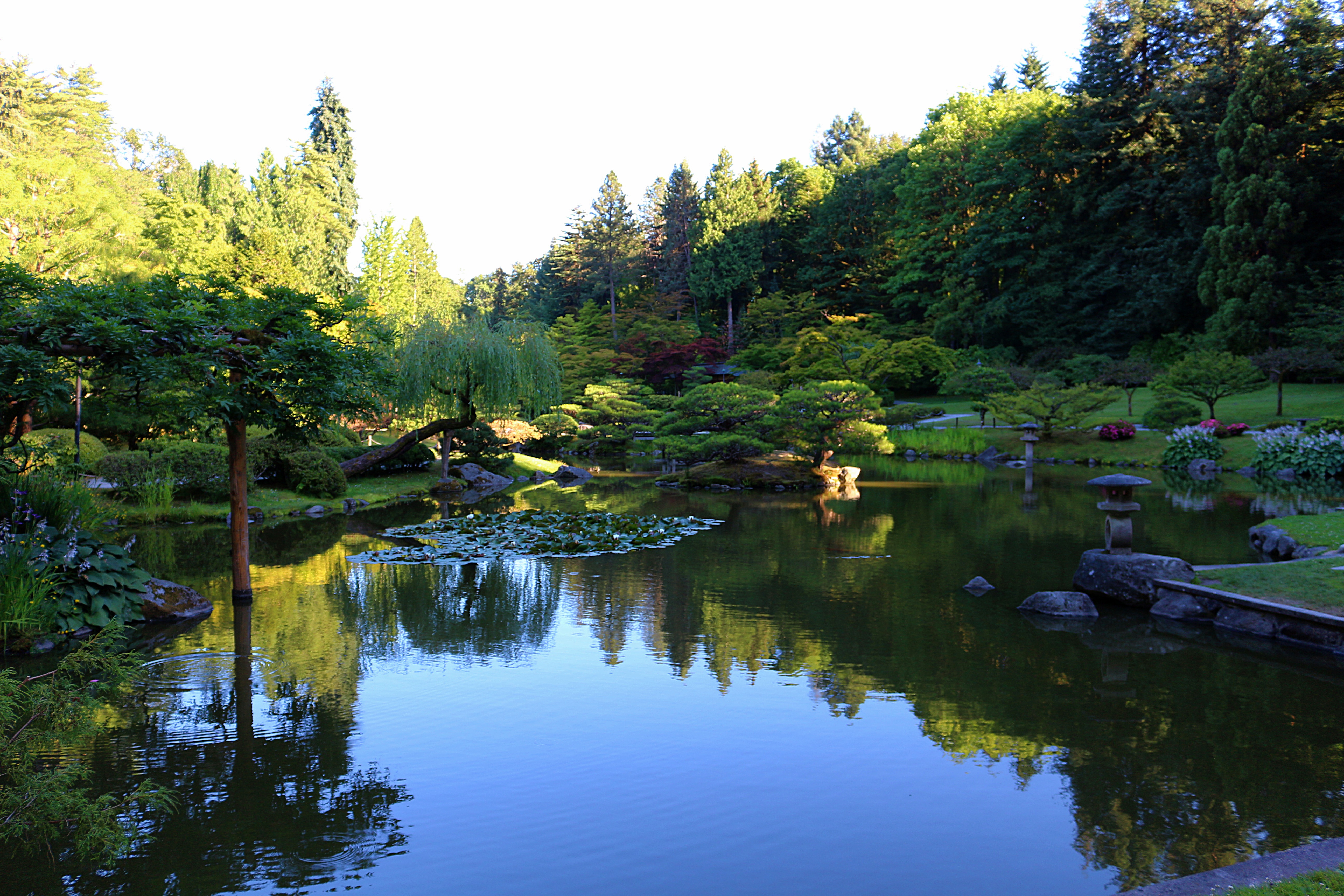 Overlooking the Seattle Japanese Garden